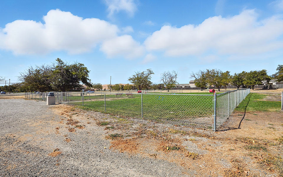 dog park